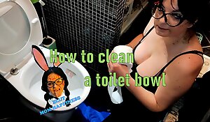 How just about clean a toilet bowl