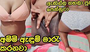 Sri Lankan Big Boobs Girl Pussy Frigging